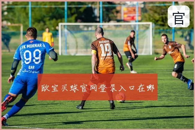 欧宝买球官网登录入口在哪