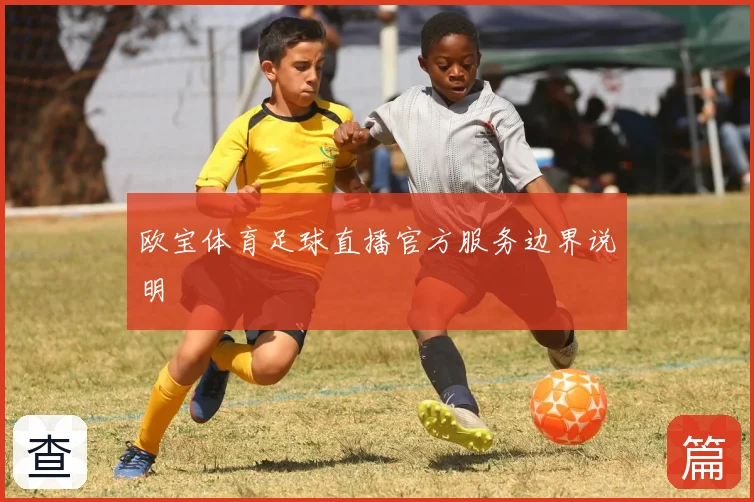 欧宝体育足球直播官方服务边界说明
